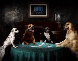 Dogs playing poker